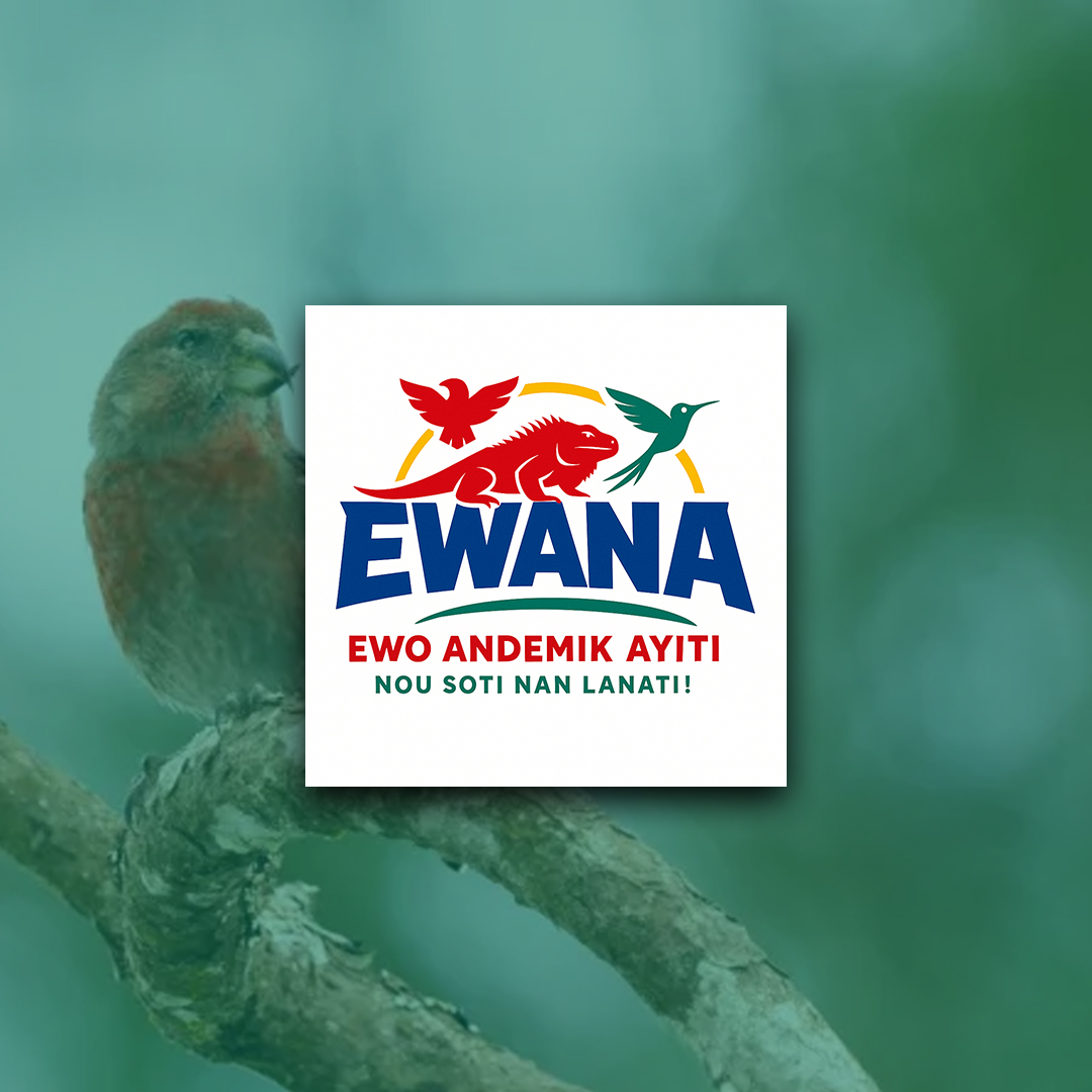EWANA -Ewo Andemik Ayiti